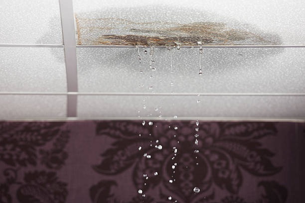 Roof leak Sydney